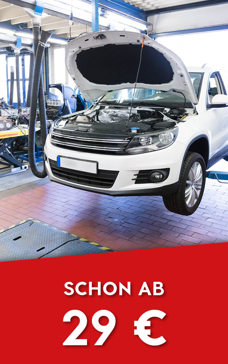 Herbstaktion - Wintercheck ab 29 €